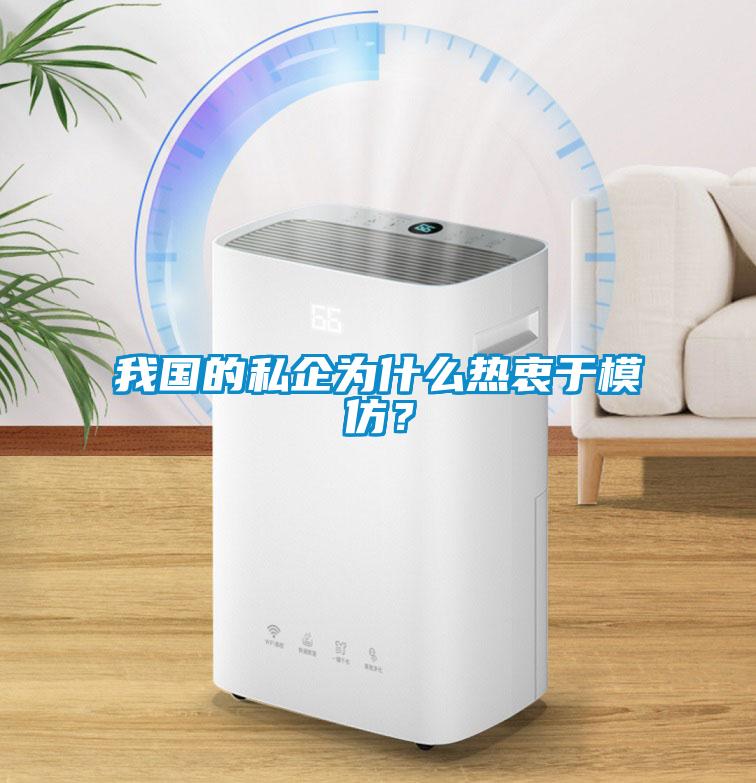 我國的私企為什么熱衷于模仿？