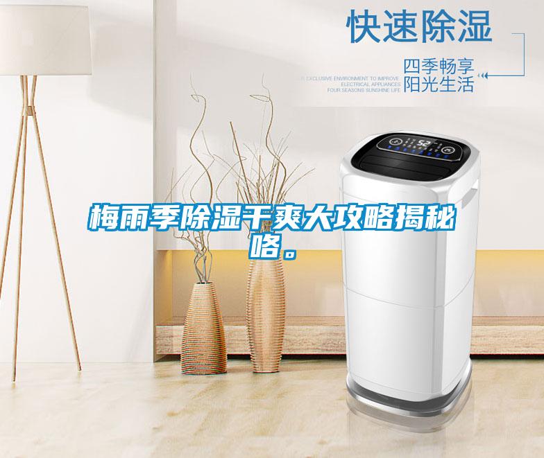 梅雨季除濕干爽大攻略揭秘咯。