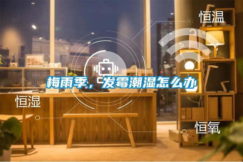 梅雨季，發(fā)霉潮濕怎么辦