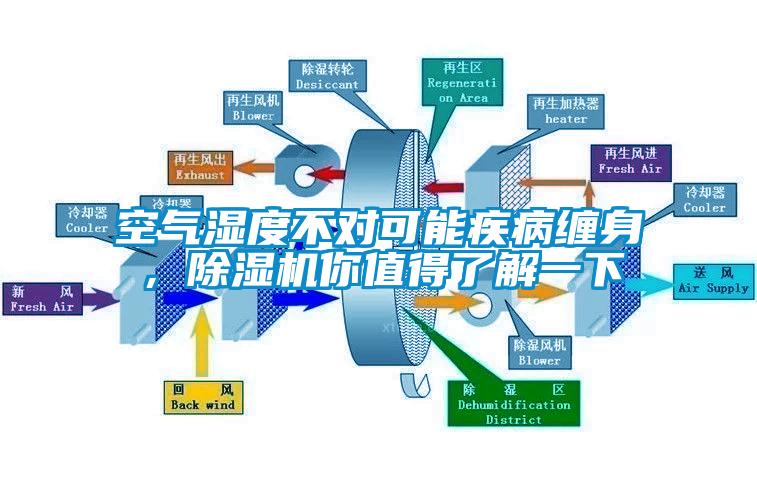 空氣濕度不對(duì)可能疾病纏身，除濕機(jī)你值得了解一下