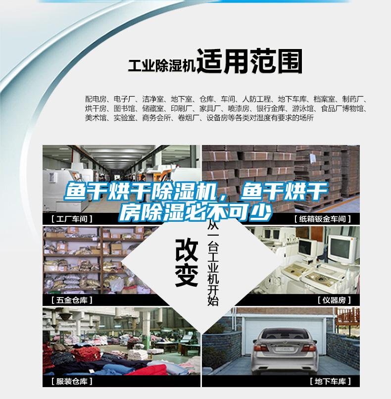 魚干烘干除濕機(jī)，魚干烘干房除濕必不可少
