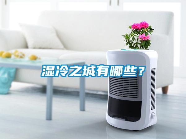濕冷之城有哪些？