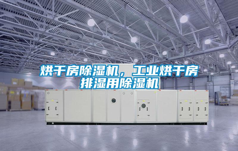 烘干房除濕機(jī)，工業(yè)烘干房排濕用除濕機(jī)