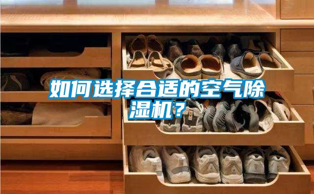 如何選擇合適的空氣除濕機(jī)？