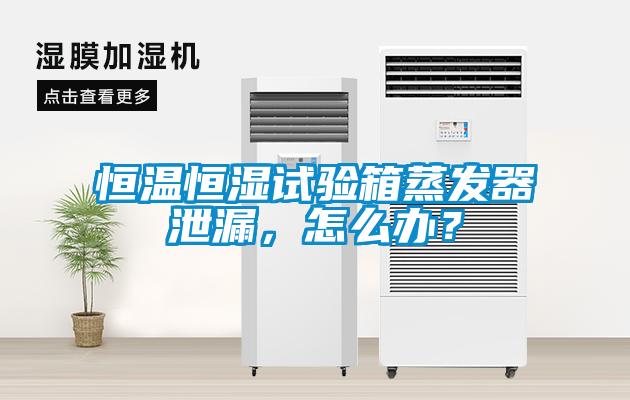 恒溫恒濕試驗(yàn)箱蒸發(fā)器泄漏，怎么辦？