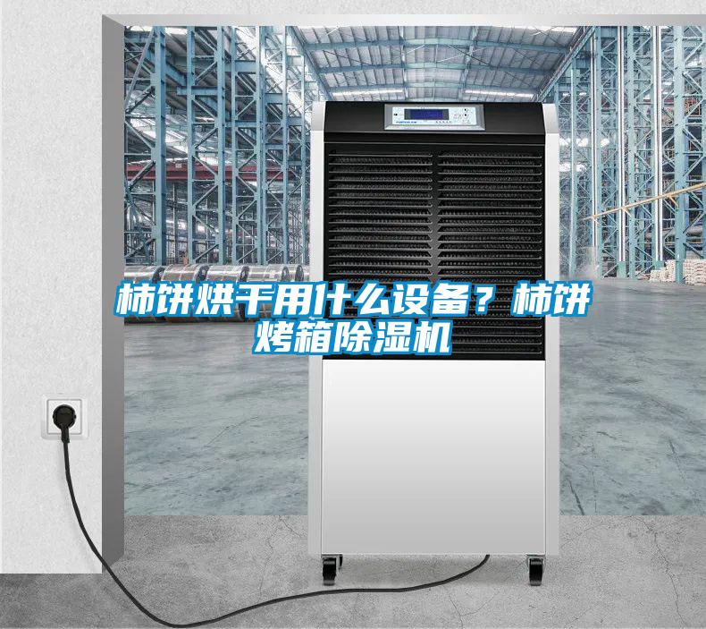 柿餅烘干用什么設(shè)備？柿餅烤箱除濕機(jī)