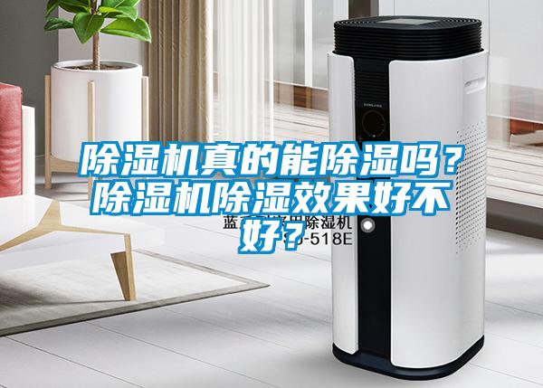 除濕機真的能除濕嗎？除濕機除濕效果好不好？