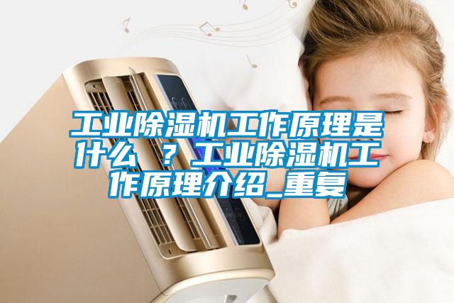 工業(yè)除濕機(jī)工作原理是什么 ？工業(yè)除濕機(jī)工作原理介紹_重復(fù)