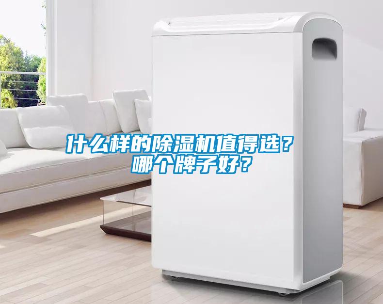什么樣的除濕機值得選？ 哪個牌子好？