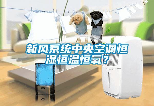 新風(fēng)系統(tǒng)中央空調(diào)恒濕恒溫恒氧？