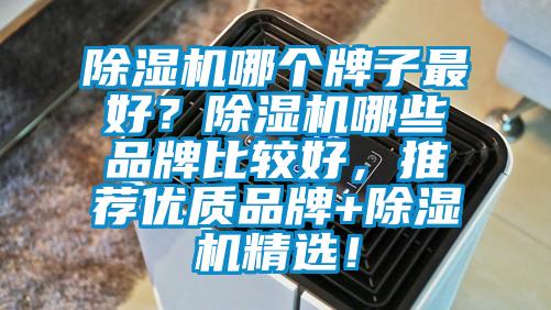 除濕機(jī)哪個(gè)牌子最好？除濕機(jī)哪些品牌比較好，推薦優(yōu)質(zhì)品牌+除濕機(jī)精選！