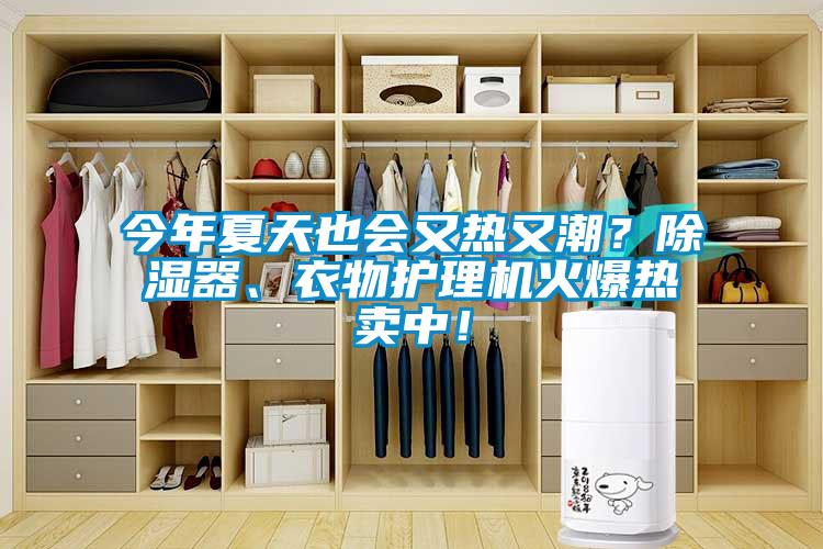 今年夏天也會又熱又潮？除濕器、衣物護理機火爆熱賣中！
