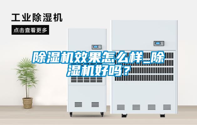 除濕機效果怎么樣_除濕機好嗎？