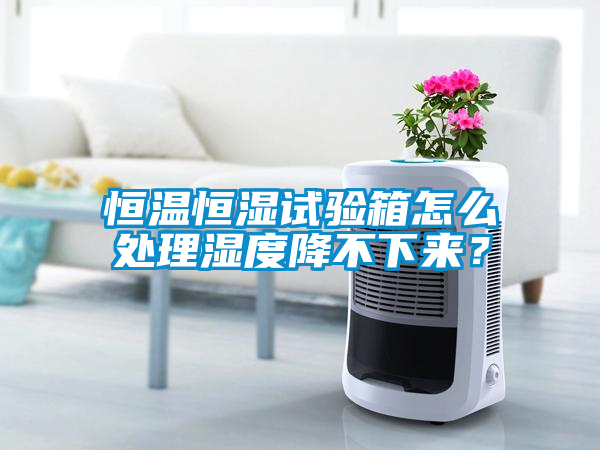 恒溫恒濕試驗(yàn)箱怎么處理濕度降不下來(lái)？