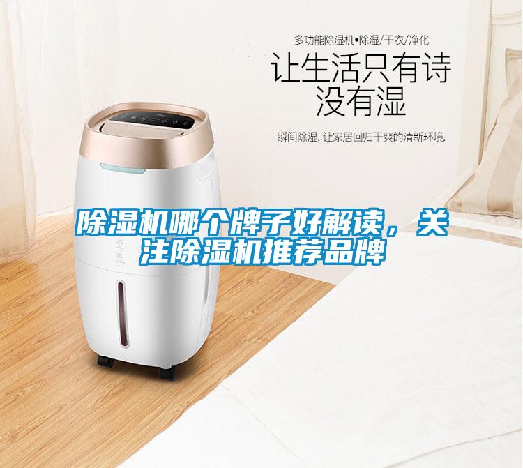 除濕機(jī)哪個(gè)牌子好解讀，關(guān)注除濕機(jī)推薦品牌