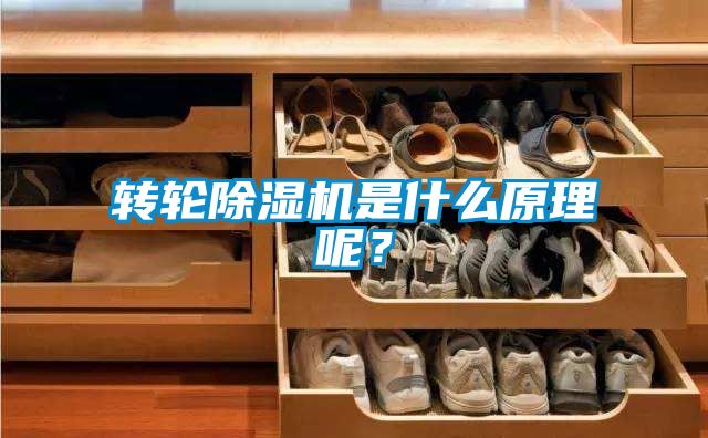 轉輪除濕機是什么原理呢？