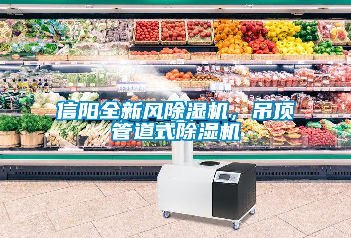 信陽全新風除濕機，吊頂管道式除濕機
