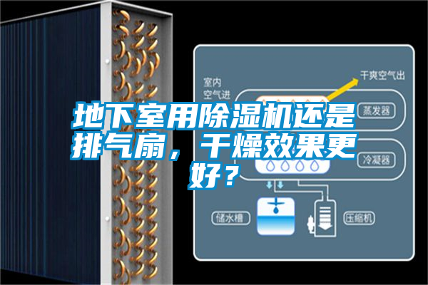 地下室用除濕機還是排氣扇，干燥效果更好？