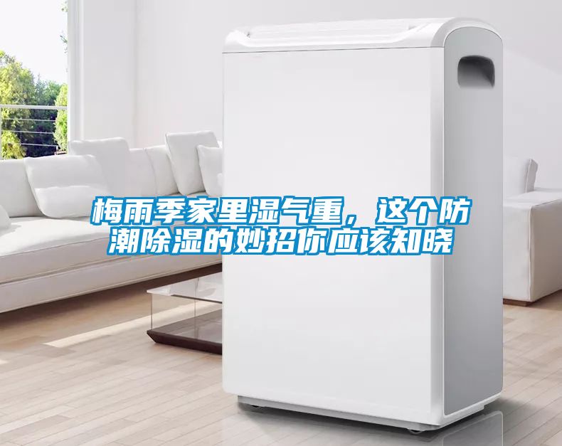 梅雨季家里濕氣重，這個(gè)防潮除濕的妙招你應(yīng)該知曉