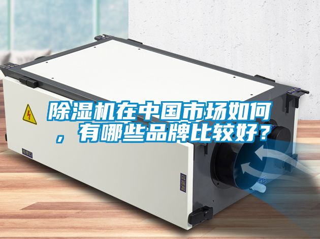 除濕機在中國市場如何，有哪些品牌比較好？