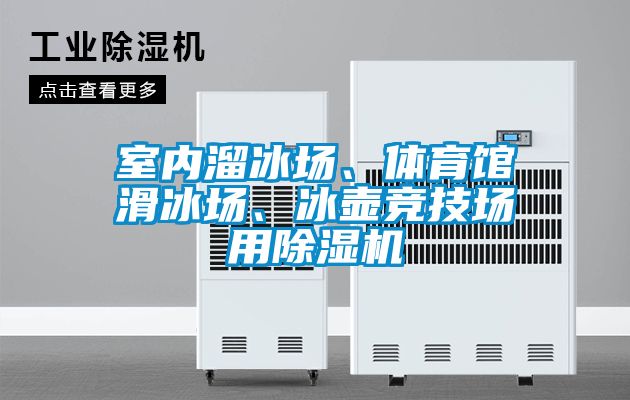 室內(nèi)溜冰場、體育館滑冰場、冰壺競技場用除濕機(jī)