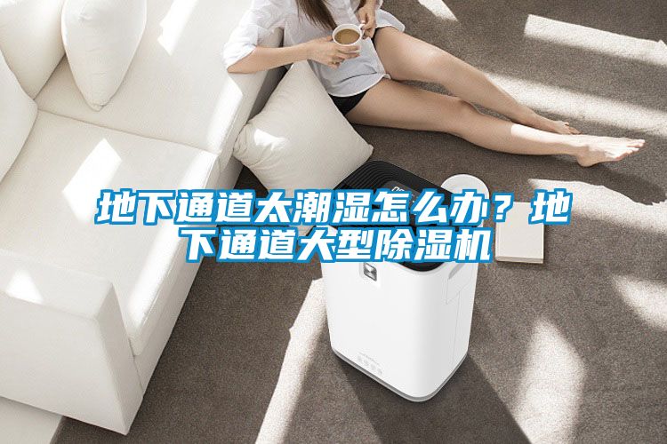 地下通道太潮濕怎么辦？地下通道大型除濕機(jī)