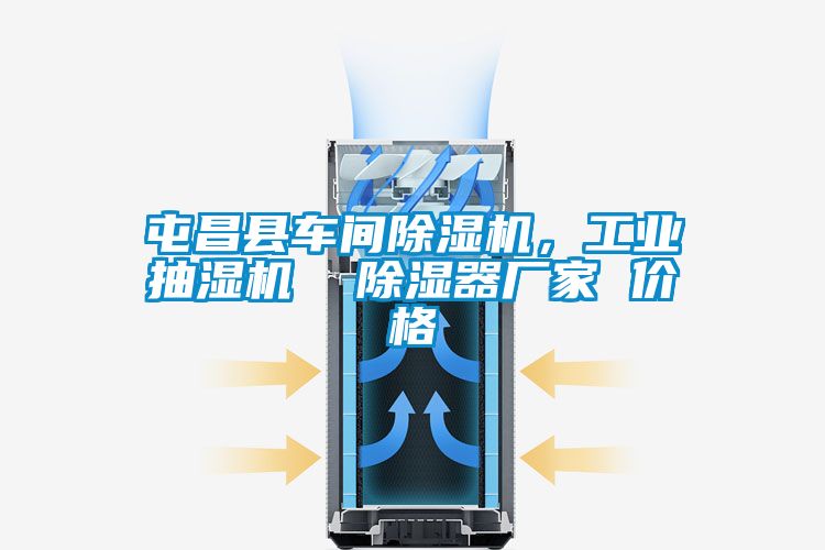屯昌縣車(chē)間除濕機(jī)，工業(yè)抽濕機(jī)  除濕器廠家 價(jià)格