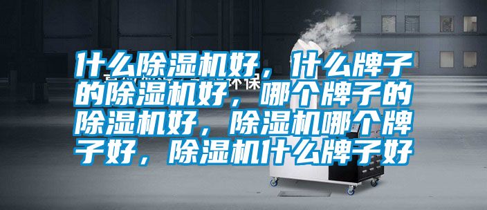 什么除濕機(jī)好，什么牌子的除濕機(jī)好，哪個(gè)牌子的除濕機(jī)好，除濕機(jī)哪個(gè)牌子好，除濕機(jī)什么牌子好