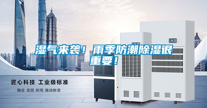 濕氣來襲！雨季防潮除濕很重要！