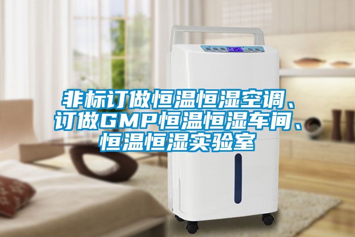 非標訂做恒溫恒濕空調(diào)、訂做GMP恒溫恒濕車間、恒溫恒濕實驗室