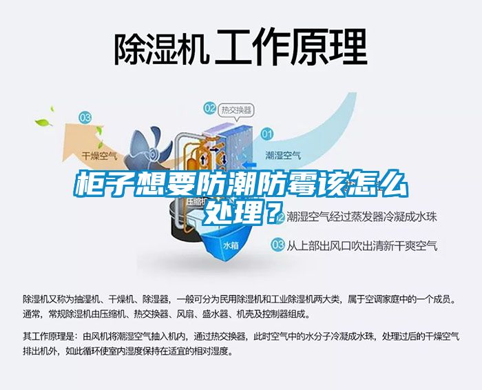 柜子想要防潮防霉該怎么處理？